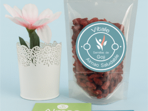 BAYAS DE GOJI 100gr